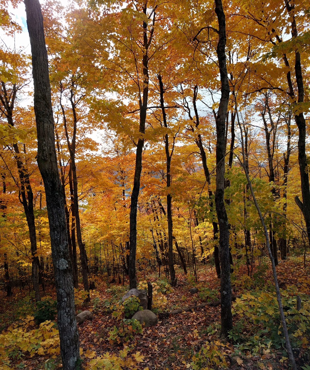 La Chouette Refuge at Mont-Sourire | Saint-Donat-de-Montcalm, QC J0T 2C0, Canada | Phone: (819) 424-2833