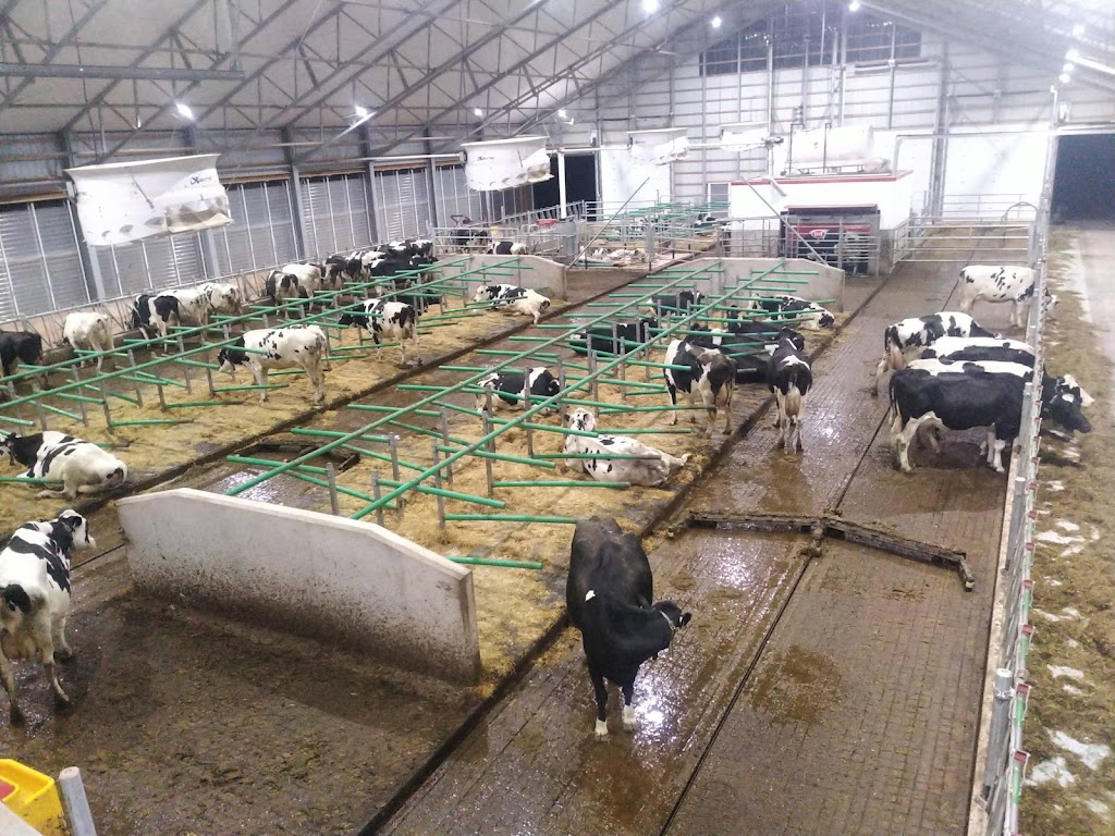 Talnie Farms Inc. | 1234 Union Rd #221, Union Road, PE C1E 3B7, Canada | Phone: (902) 626-7951