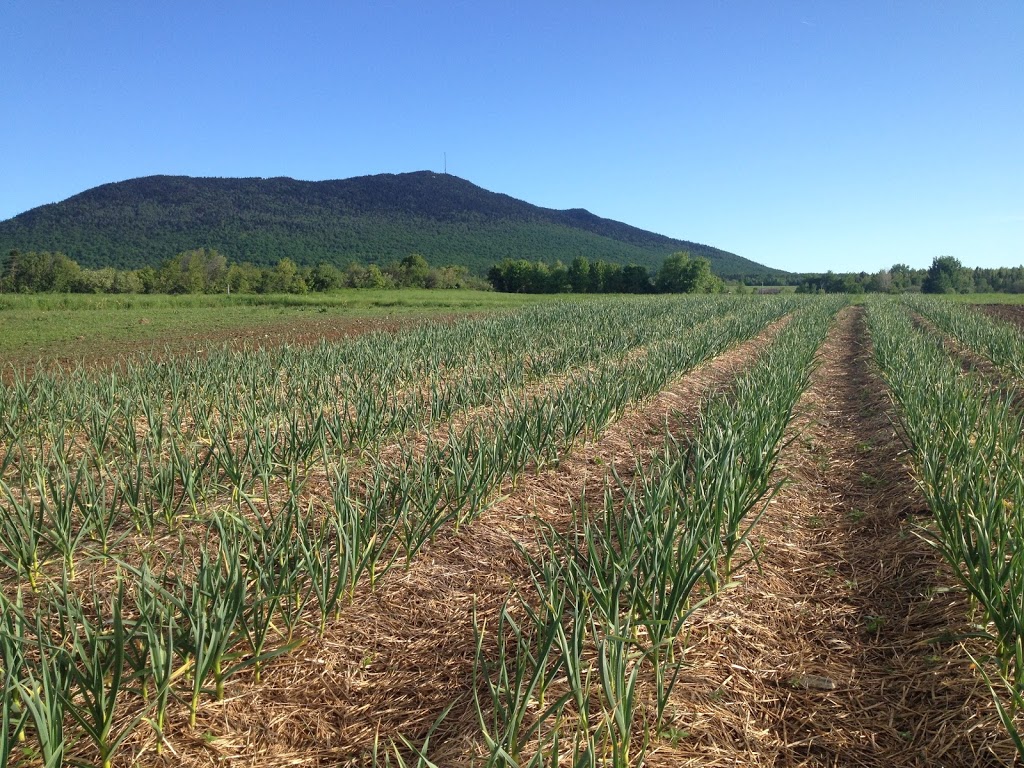 Ferme Terre et Vent | 139 Route du Parc, Notre-Dame-des-Bois, QC J0B 2E0, Canada | Phone: (819) 888-2715