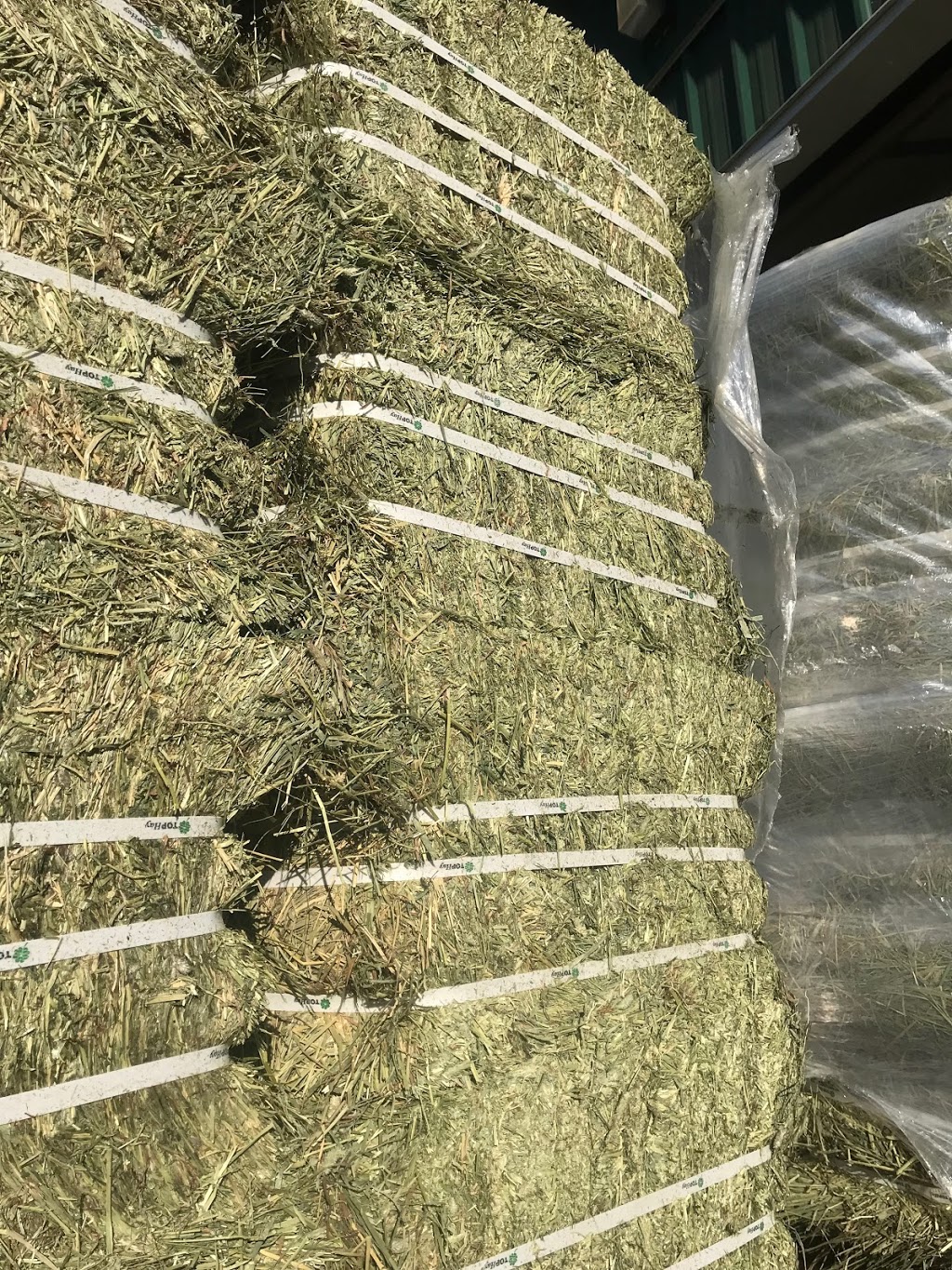 TNT Hay Sales | 40303 No 4 Rd, Abbotsford, BC V3G 2S2, Canada | Phone: (888) 802-3269