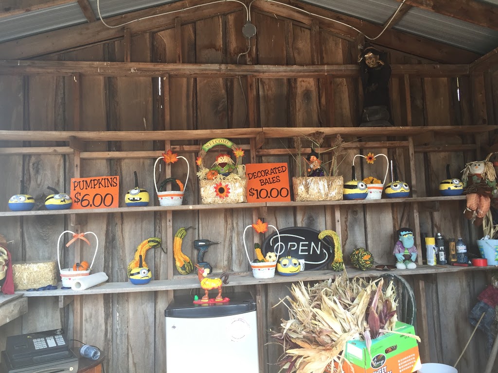 Warner Ranch & Pumpkin Farm | 7705 Schisler Rd, Welland, ON L3B 5N4, Canada | Phone: (905) 384-2684