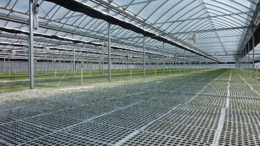 Paul Boers Ltd | 3500 S Service Rd, Vineland Station, ON L0R 2E0, Canada | Phone: (905) 562-4411