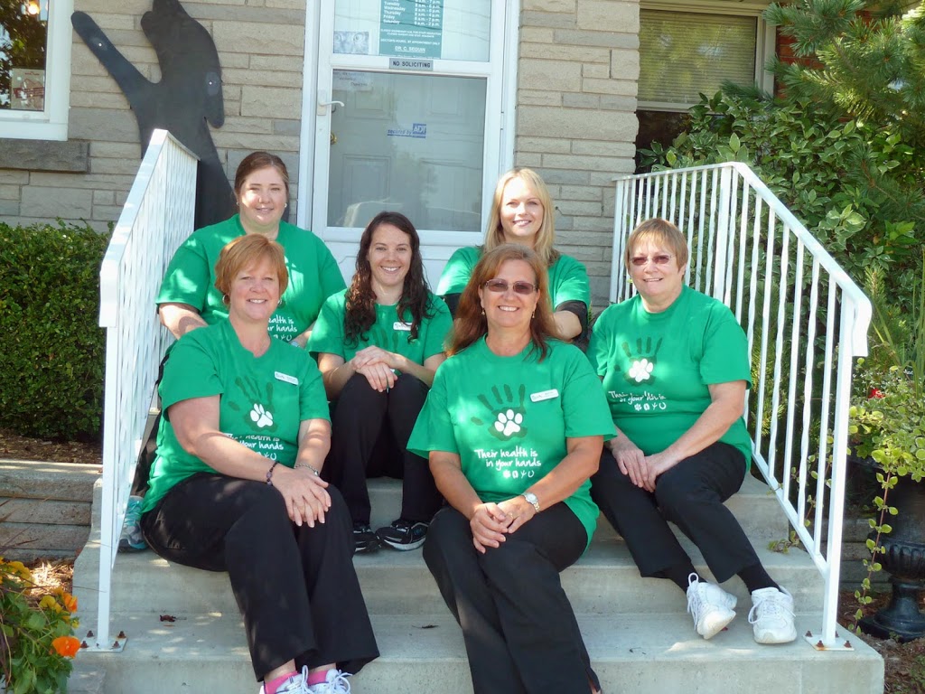 Brantford Veterinary Clinic | 277 King George Rd, Brantford, ON N3R 5L1, Canada | Phone: (519) 756-2390