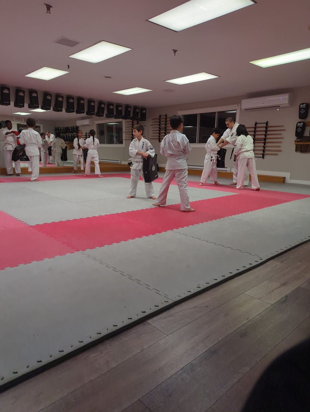 Kanreikai Karate Montréal | 4830 Bd Saint-Charles, Pierrefonds, QC H9H 3E1, Canada | Phone: (514) 834-8458