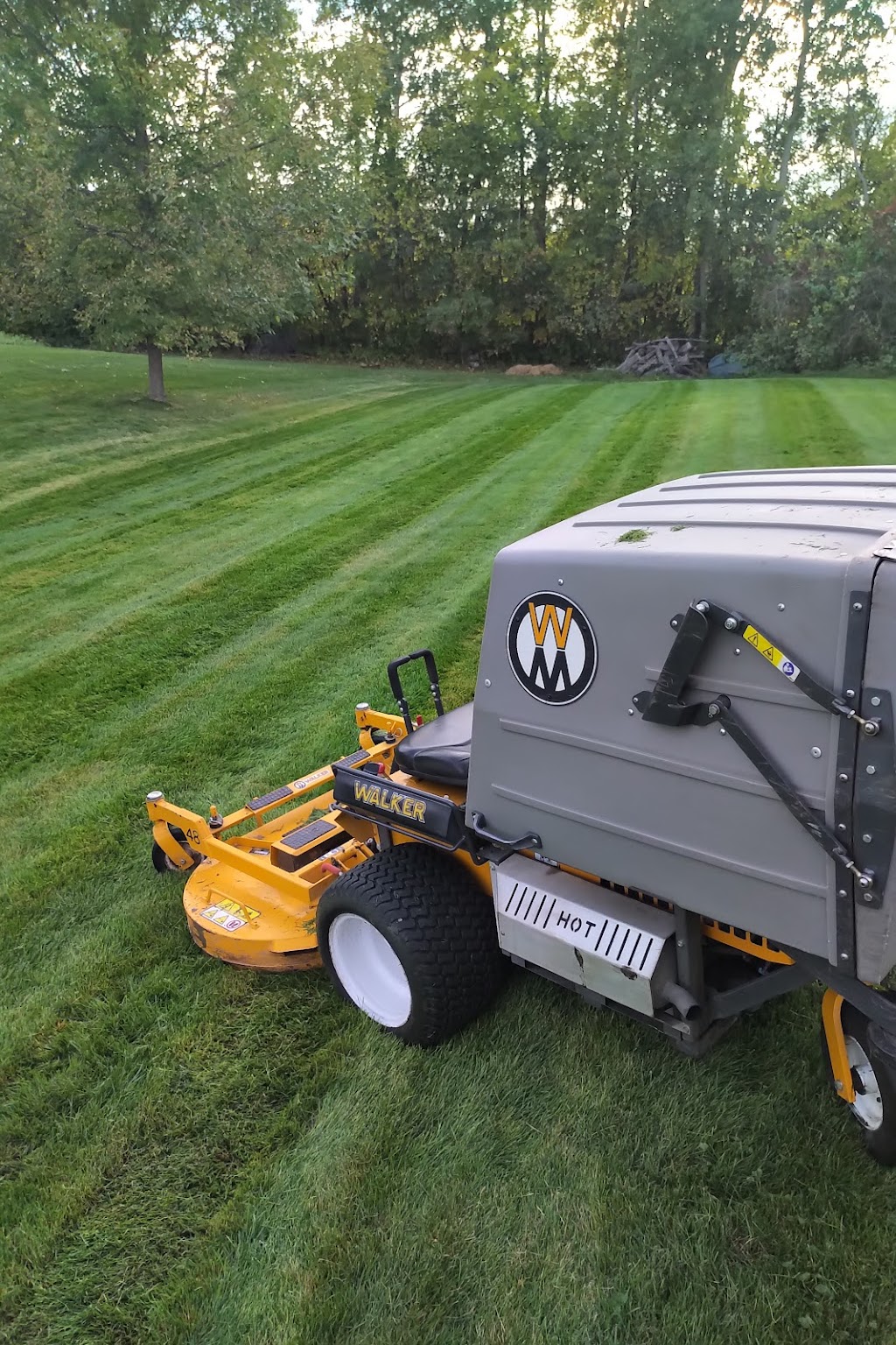 Metcalfe Grasshopper | 8191 Victoria St, Metcalfe, ON K0A 2P0, Canada | Phone: (613) 316-5224