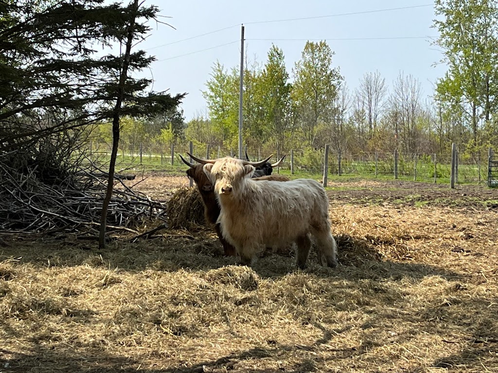 BENTHORN FARMSTEAD | 510 Municipal Rd, Sauble Beach, ON N0H 2G0, Canada | Phone: (519) 378-4486
