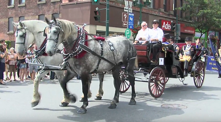 Precious Moments Carriages | 40 Anglican Church Rd, Lombardy, ON K0G 1L0, Canada | Phone: (613) 285-5698