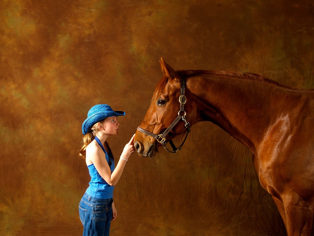 Belleview Farm | Greenbank, ON L0C 1B0, Canada | Phone: (905) 985-0623