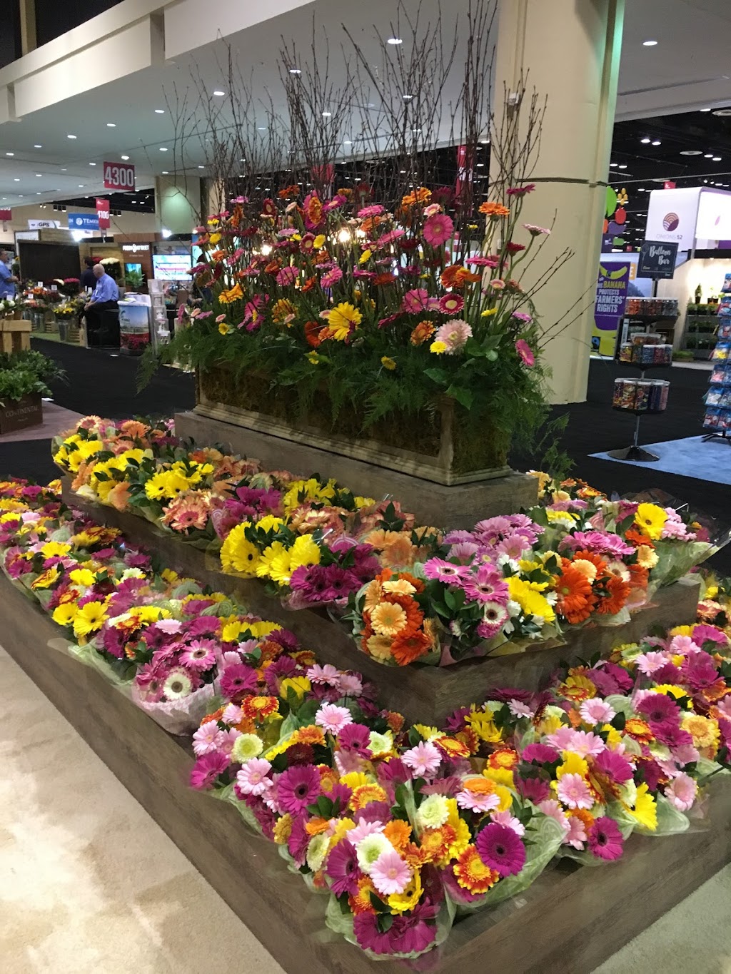 Hollandia Greenhouses,Ltd. | 19731 Richardson Rd, Pitt Meadows, BC V3Y 1Z1, Canada | Phone: (604) 460-1866