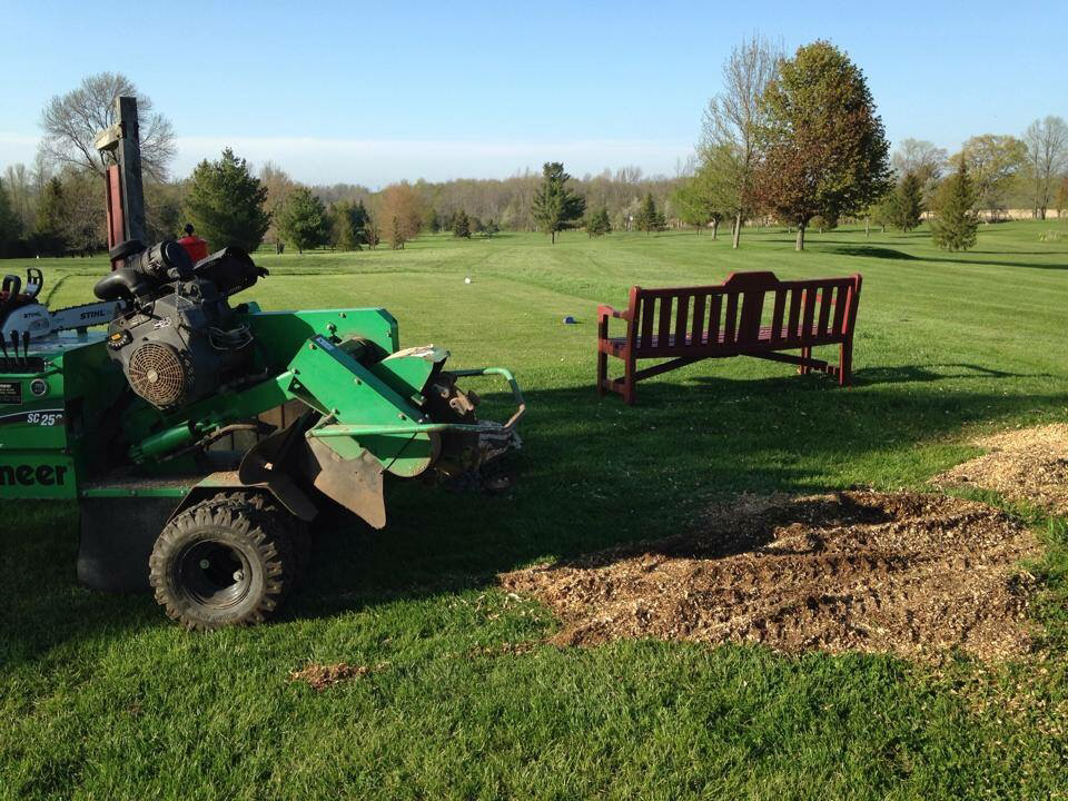Grey Bruce Tree Workers | 11 Cameron St, Tiverton, ON N0G 2T0, Canada | Phone: (800) 561-7629