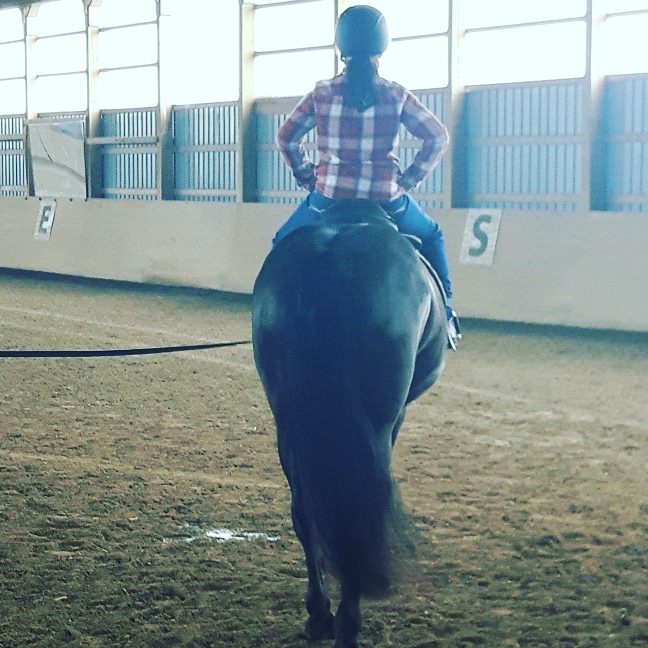 The Motts Equestrian Centre | 756 Watson Rd S, Puslinch, ON N0B, Canada | Phone: (905) 703-8225