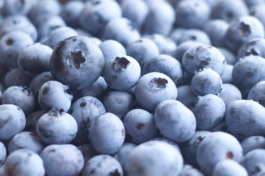 Wilmot Orchards Inc | 3337 Concession Rd 3, Newcastle, ON L1B 0N1, Canada | Phone: (905) 987-5279