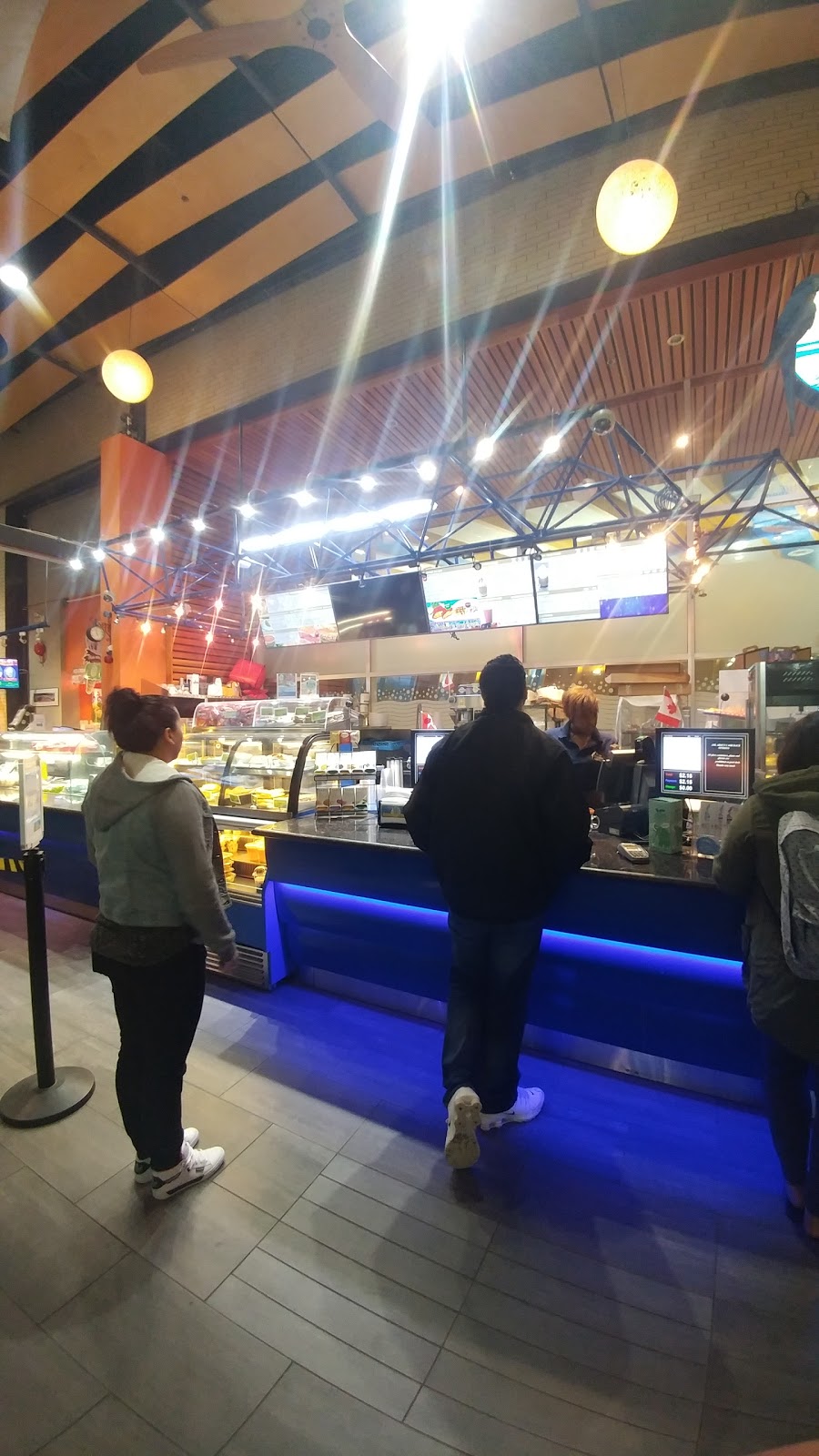 Blue Parrot Coffee | Hillcrest Centre, 4575 Clancy Loranger Way, Vancouver, BC V5Y 2M4, Canada | Phone: (604) 879-3301