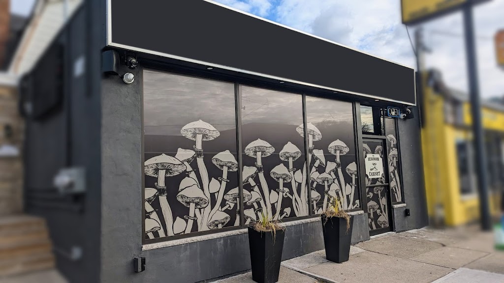 The Mushroom Cabinet | 1459 Main St E, Hamilton, ON L8K 1C5, Canada | Phone: (289) 556-4985