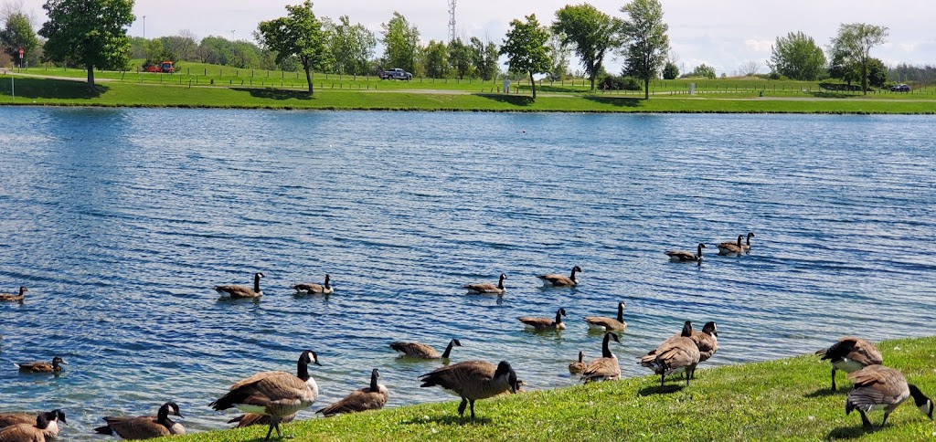 Welland International Flatwater Centre | 16 Townline Tunnel Rd, Welland, ON L3C 2T4, Canada | Phone: (905) 788-9511