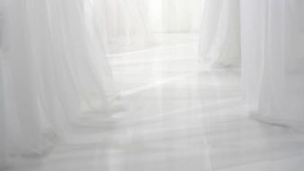 Daydream Societe | 81 Angelico Ave, Vaughan, ON L4H 3K3, Canada | Phone: (416) 272-0689