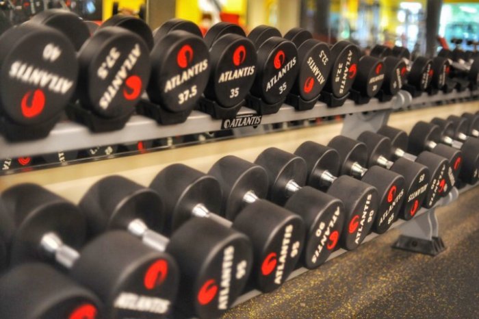 GYM SAINT SAUVEUR INC. | 700 Chemin Jean-Adam #130, Piedmont, QC J0R 1R3, Canada | Phone: (450) 227-4496