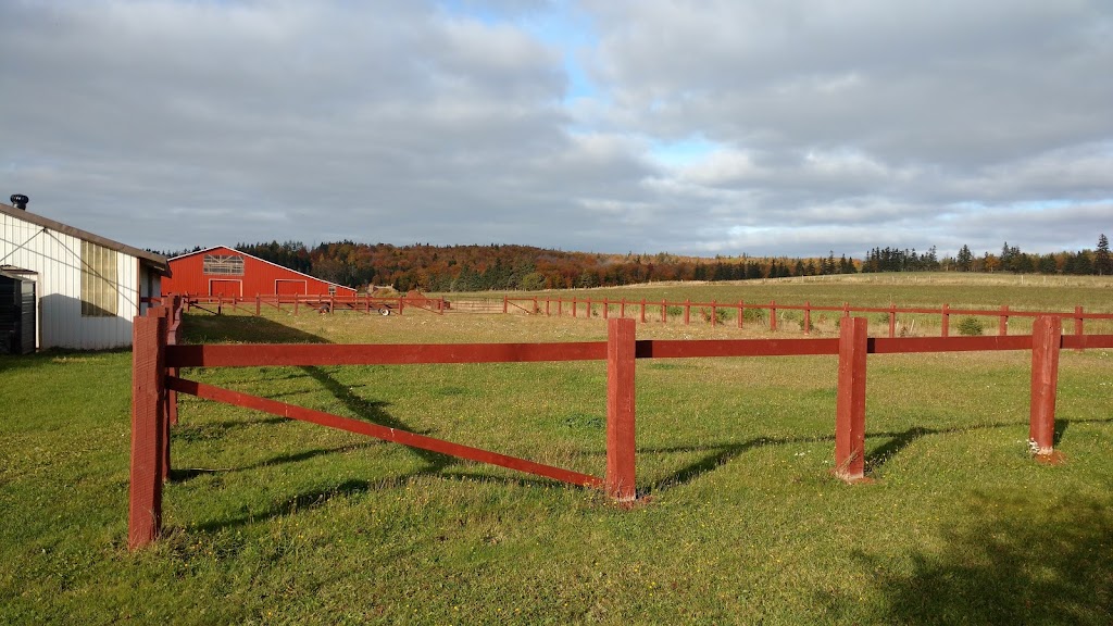 Burlington Stables | 118 County Line Rd, Kensington, PE C0B 1M0, Canada | Phone: (902) 439-4729