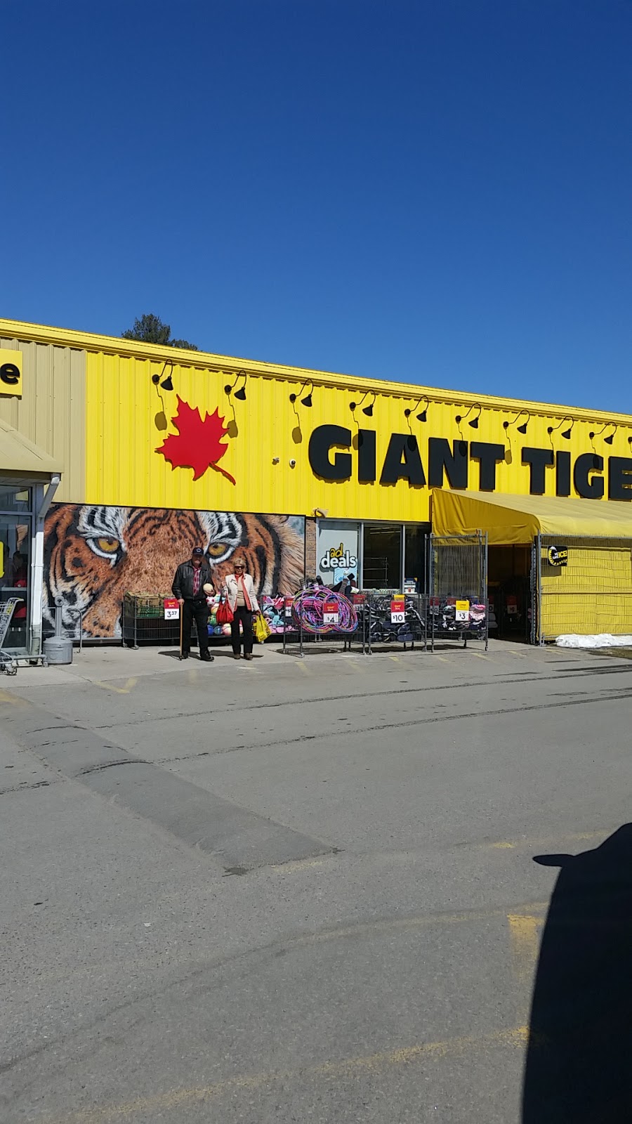 Giant Tiger | 1190 Muskoka Rd S, Gravenhurst, ON P1P 1K9, Canada | Phone: (705) 684-9751