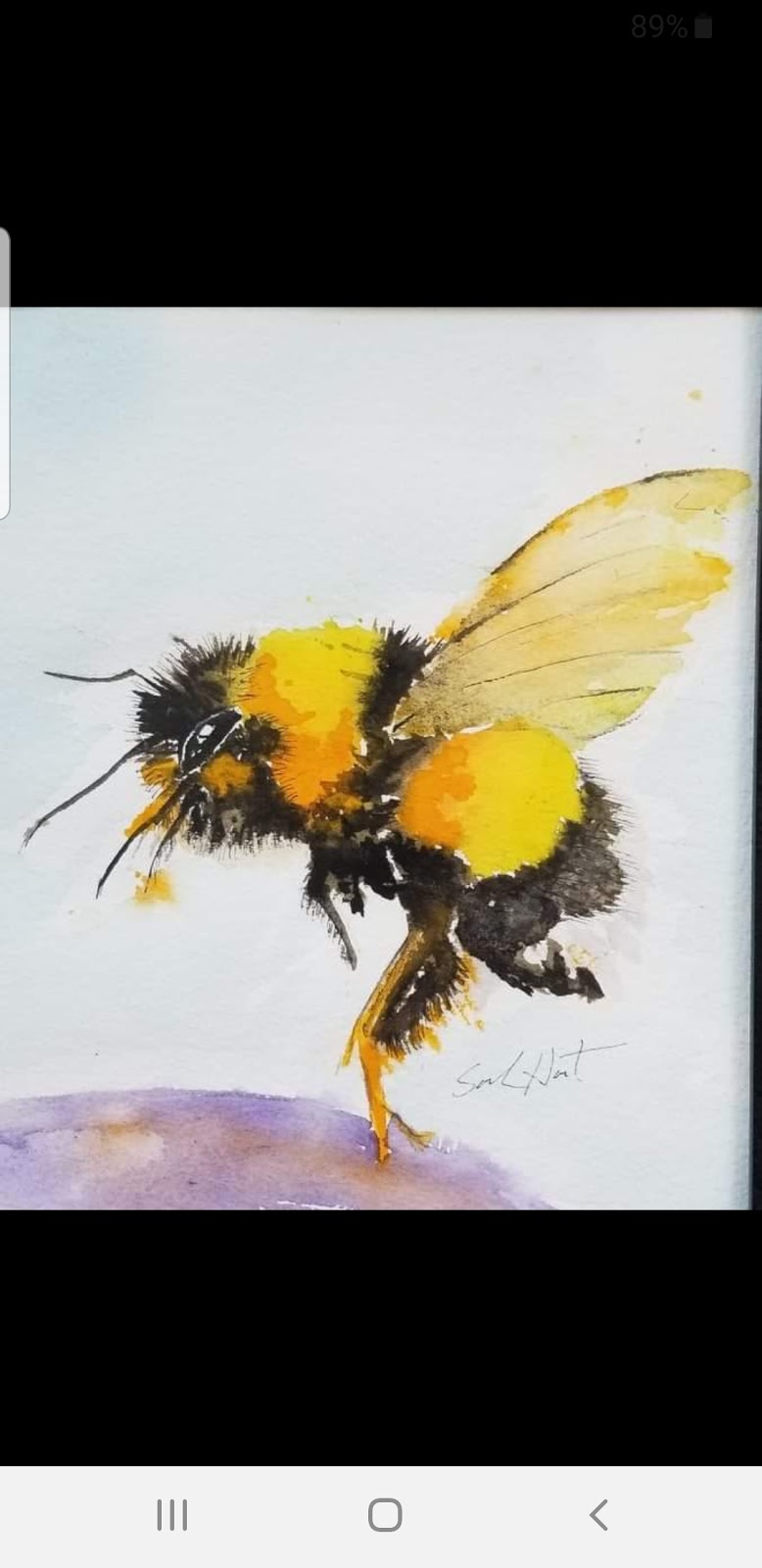 Sarah Hart Watercolours | 42 Church St E, Elora, ON N0B, Canada | Phone: (519) 803-6404