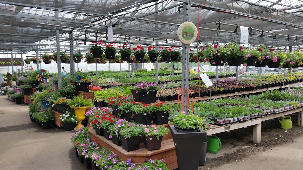 Garrys Garden Gallery | 5 Commerce Rd, Lindsay, ON K9V 5Y3, Canada | Phone: (705) 324-9574