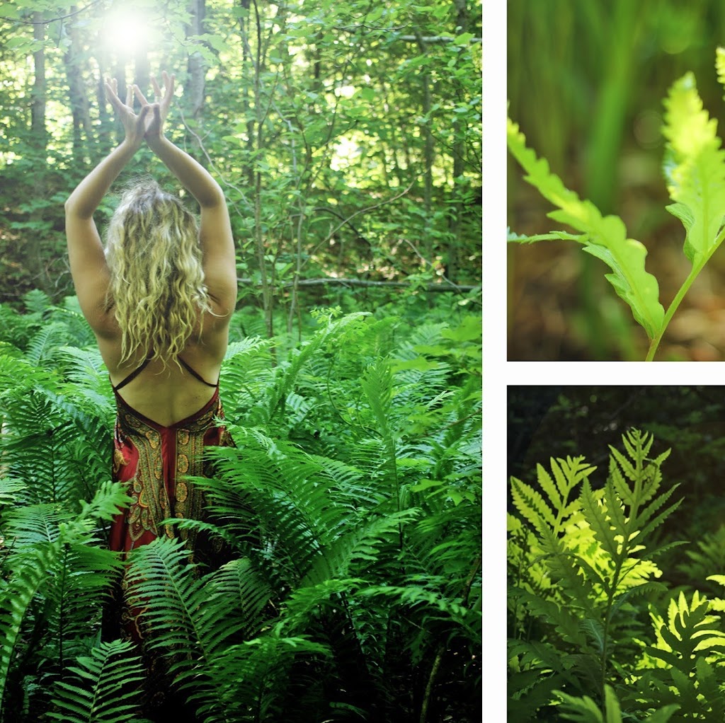 Biophile Yoga | 36 Rue Beaucage, Saint-Roch-de-lAchigan, QC J0K 3H0, Canada | Phone: (514) 654-0154