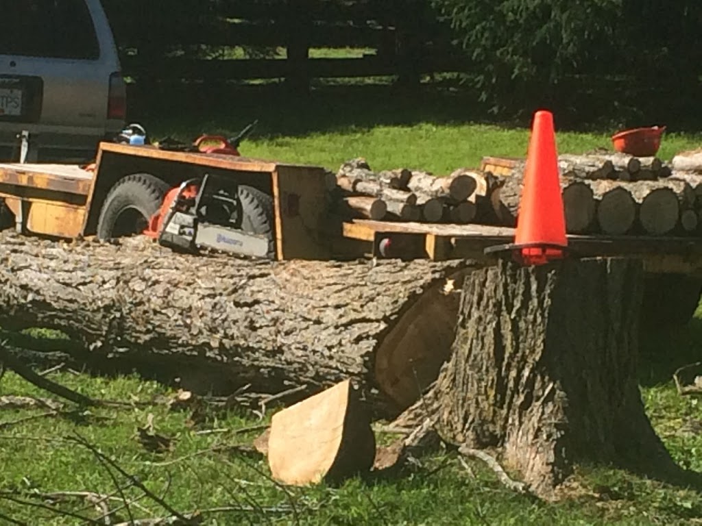 Tree Problems ? Tree Services ! | 851 A Rainbow Rd, Salt Spring Island, BC V8K 2M8, Canada | Phone: (250) 537-9897