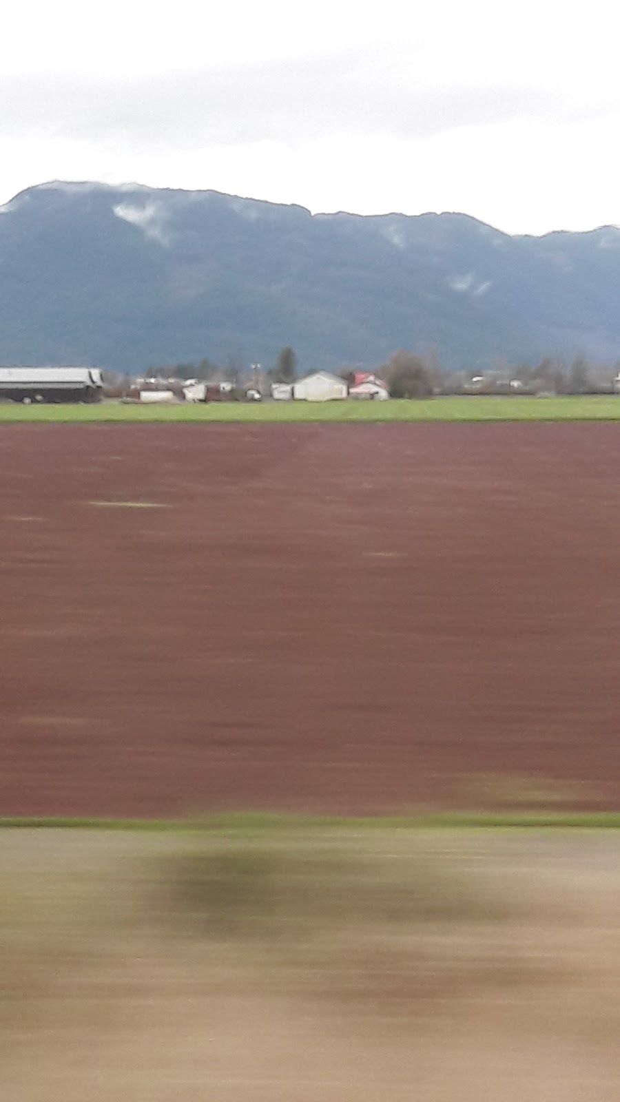 Ibex Building Corporation Ltd | 8508 Gibson Rd, Chilliwack, BC V2P 6H3, Canada | Phone: (604) 792-3812