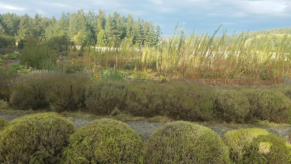 Whispers of Nature Herbs | 37 Fisherman Bay Rd, Lopez Island, WA 98261, USA | Phone: (360) 468-0550