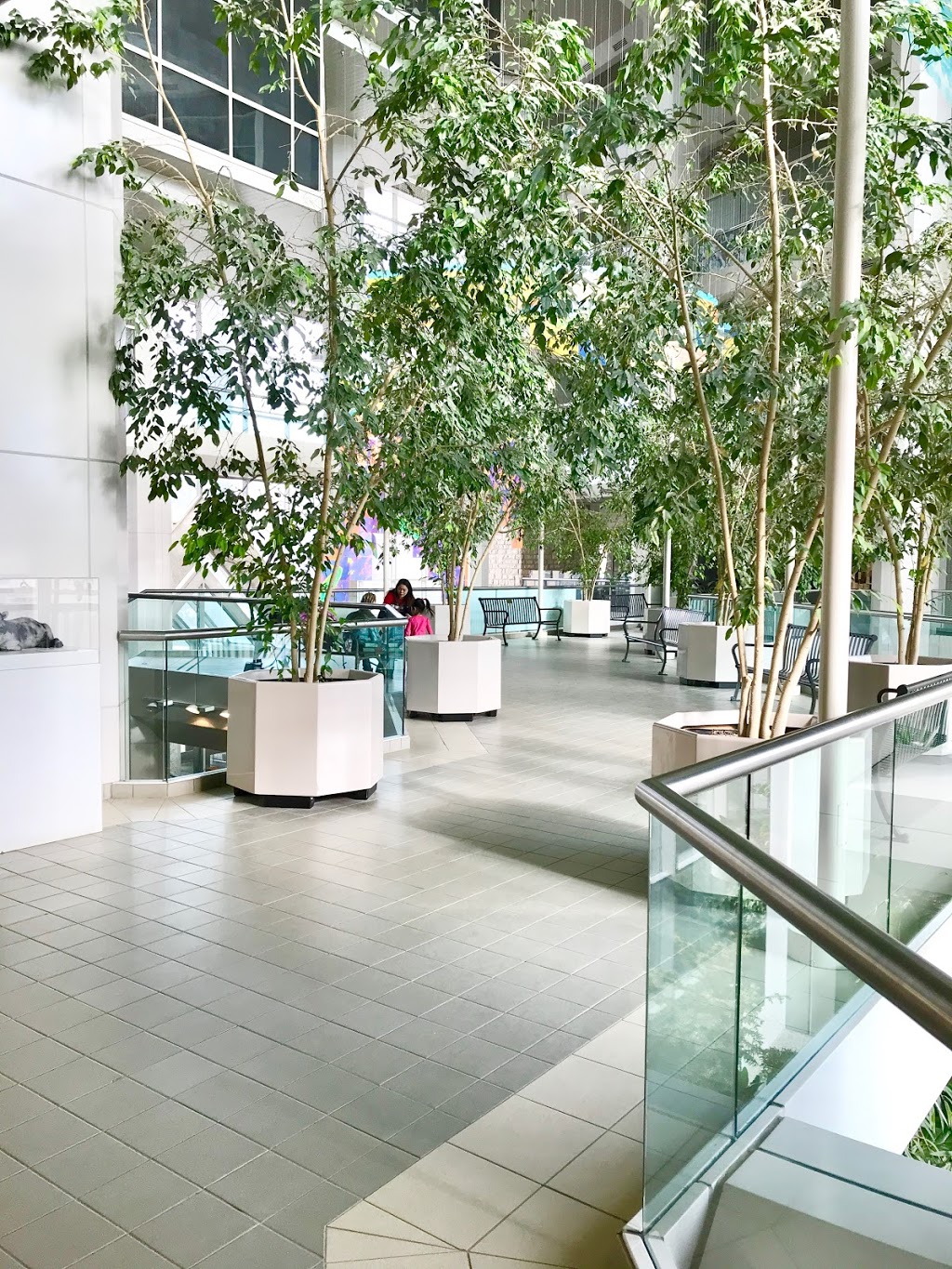 Agriculture Building | 51 Campus Dr, Saskatoon, SK S7N 5A8, Canada | Phone: (306) 966-4056