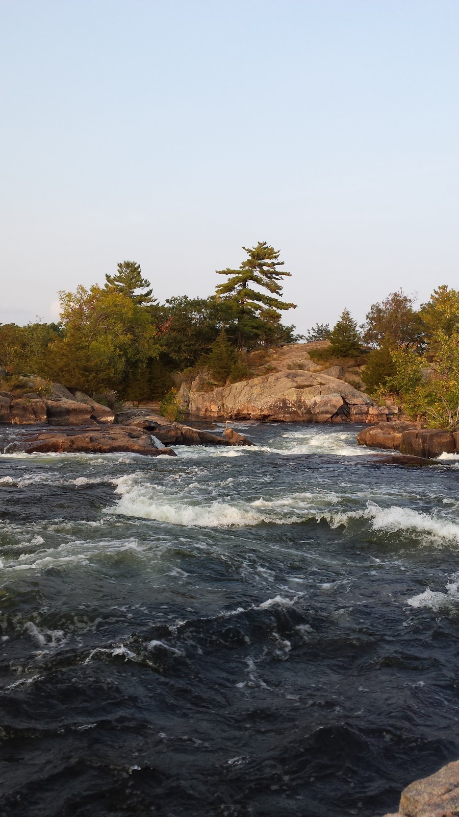 Strickers Burleigh Beach Resort | 3340 Strickers Ln, Lakefield, ON K0L 2H0, Canada | Phone: (705) 654-3547