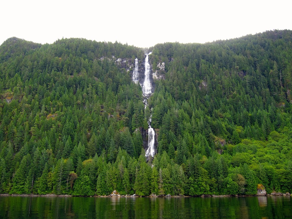 Sunshine Coast Tours | 16660 Backeddy Rd, Madeira Park, BC V0N 2H4, Canada | Phone: (604) 883-2280