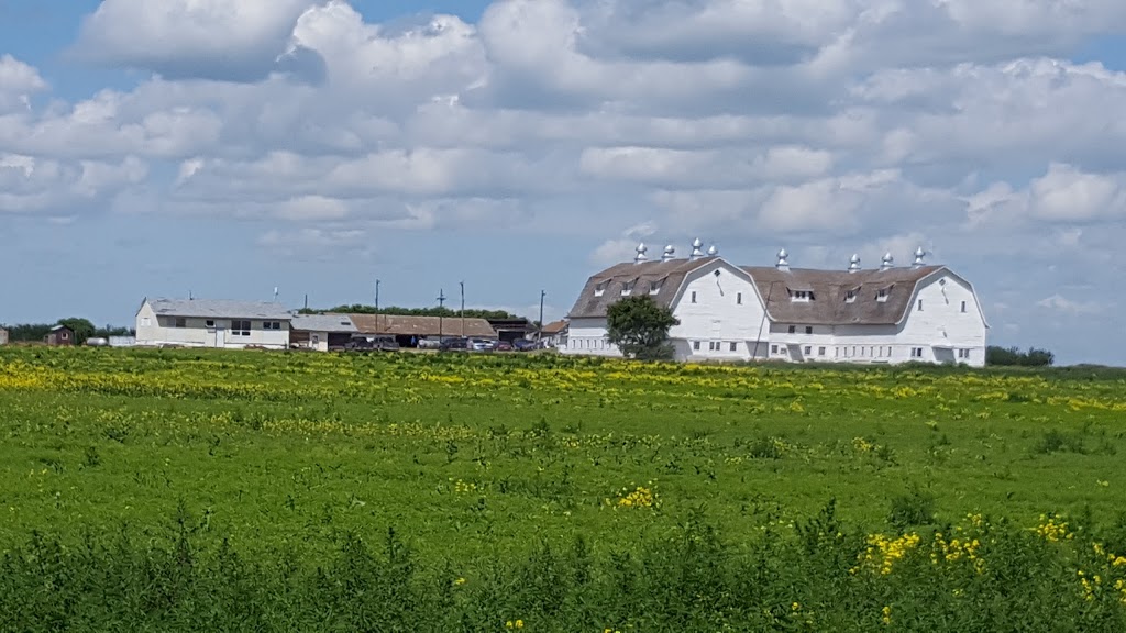 Schmitz Barn | 3 N Service Rd, Moose Jaw, SK S0H 0N0, Canada | Phone: (619) 471-5537
