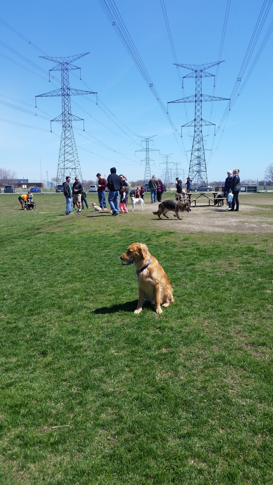 Bowmanville Off Leash Dog Park | Waterfront Trail, Courtice, ON L1E 2S6, Canada | Phone: (905) 623-6380