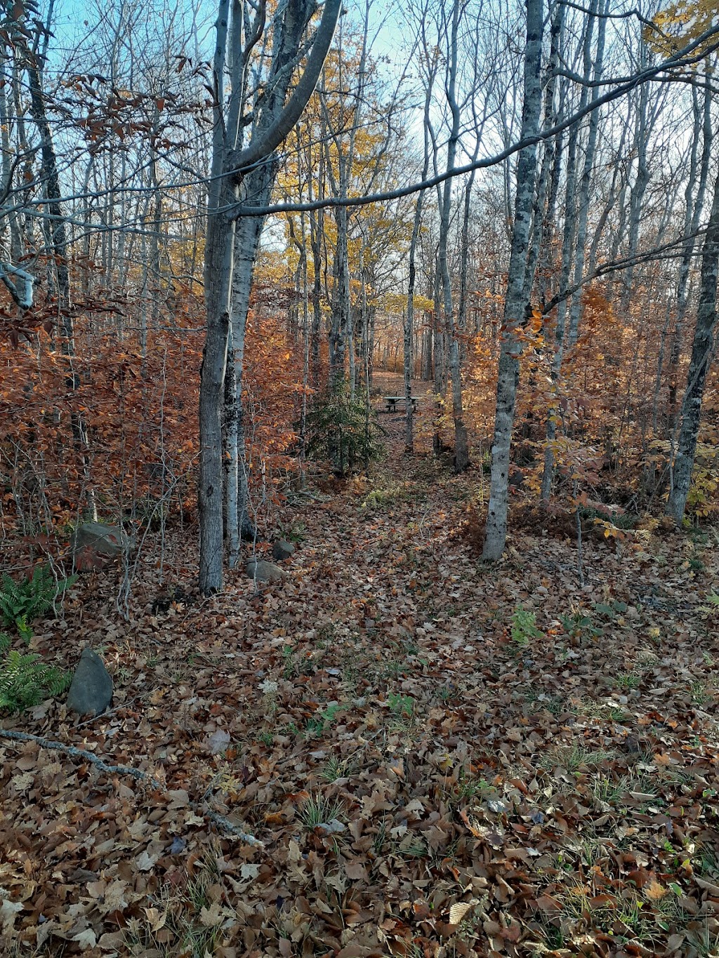 Valleyview Provincial Park | 960 Hampton Mountain Rd, Hampton, NS B0S 1L0, Canada | Phone: (902) 665-2559