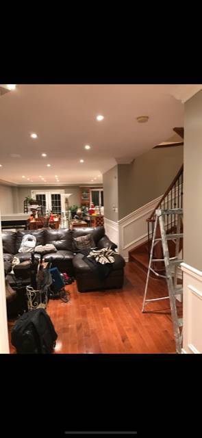 Linces Painting | 43 Malaspina Cl, Brampton, ON L6Y 6C8, Canada | Phone: (416) 893-4338