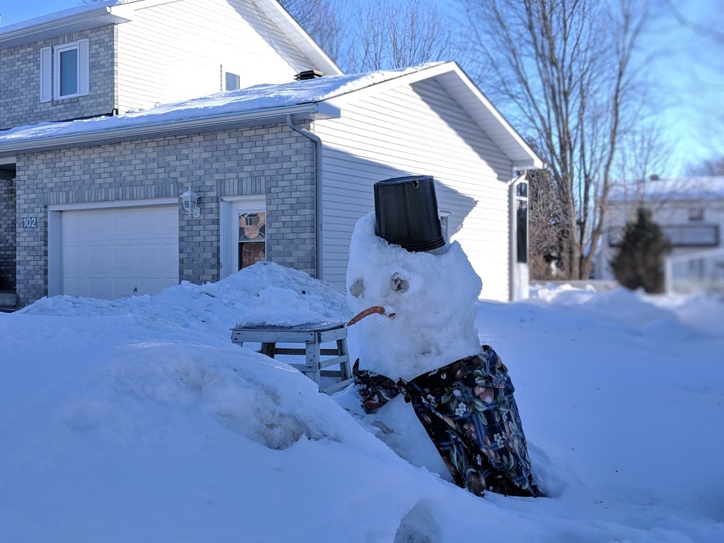 Capital Area House | 29 Rue Albert-Camus, Gatineau, QC J9J 2R8, Canada | Phone: (819) 598-3063
