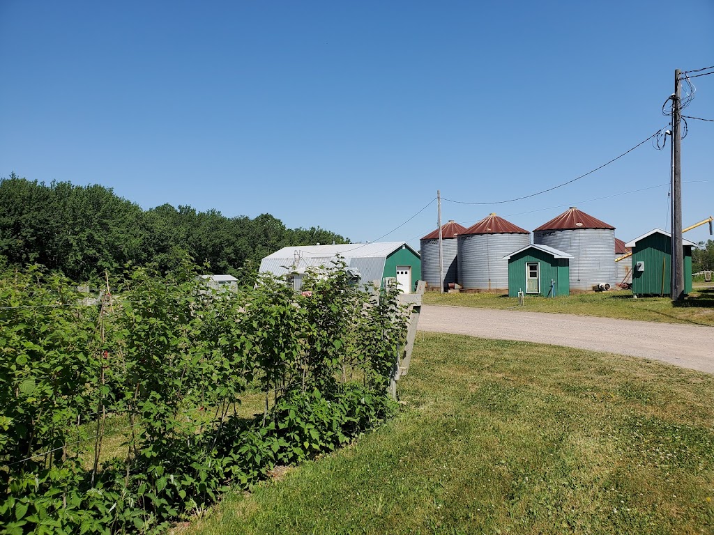 Webster Farms Ltd | 5859 Nova Scotia Trunk 1, Cambridge, NS B0P 1G0, Canada | Phone: (902) 538-9492