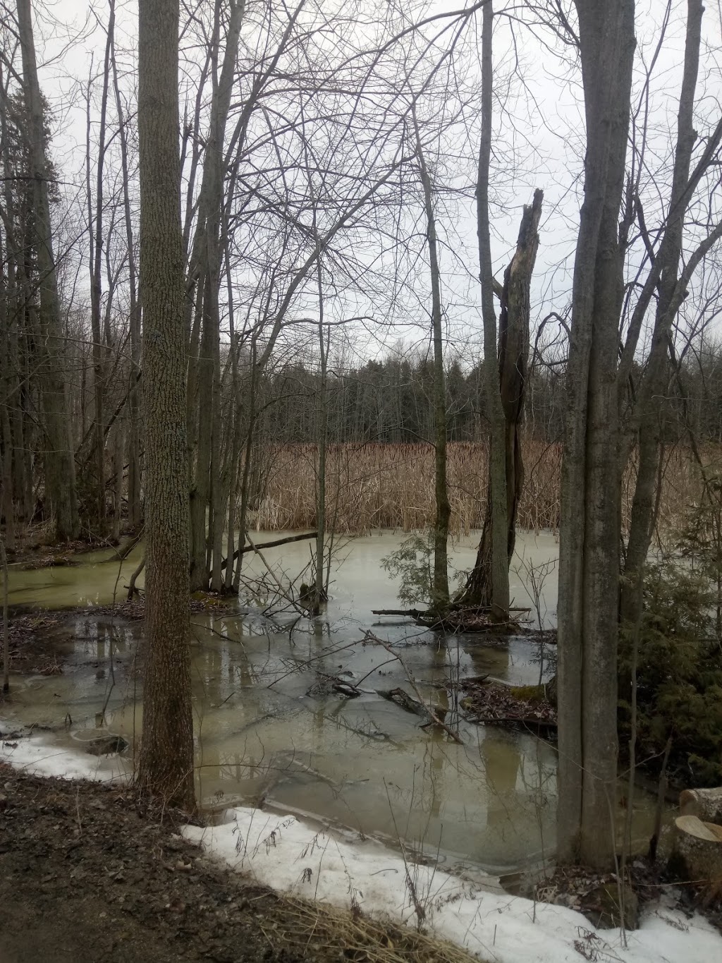 Mountsberg Conservation Area | 2259 Milburough Line, Campbellville, ON L0P 1B0, Canada | Phone: (905) 854-2276