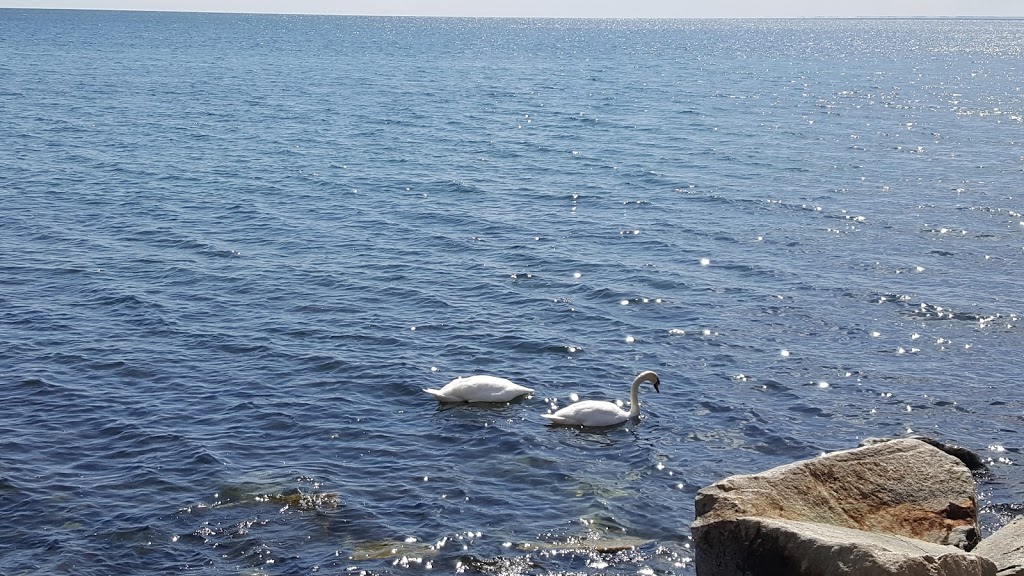 Long Branch Park | 245 Lake Promenade, Etobicoke, ON M8W 1B3, Canada