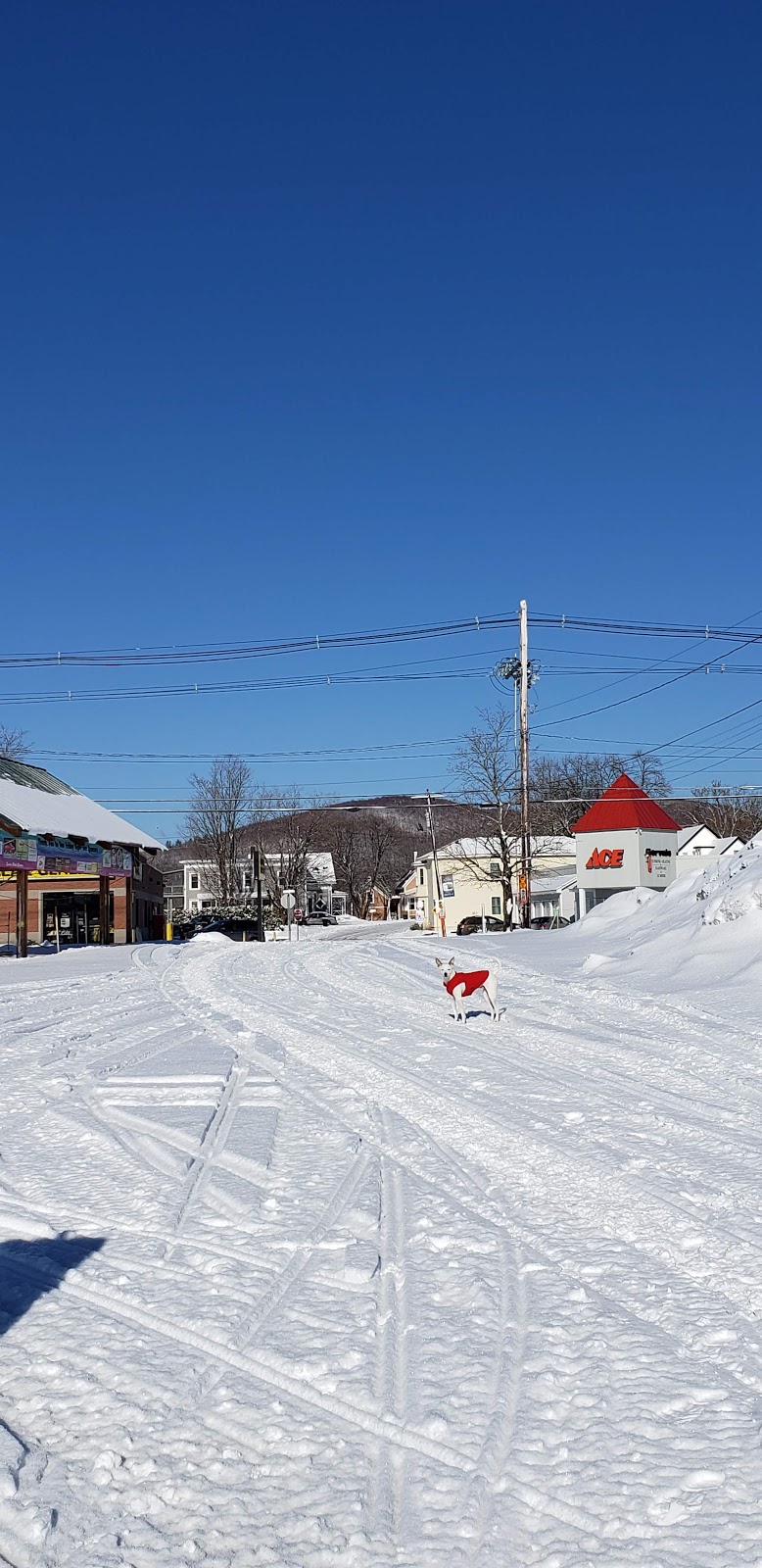 Island Pond Welcome Center | 11 Birch St, Island Pond, VT 05846, USA | Phone: (802) 723-9889