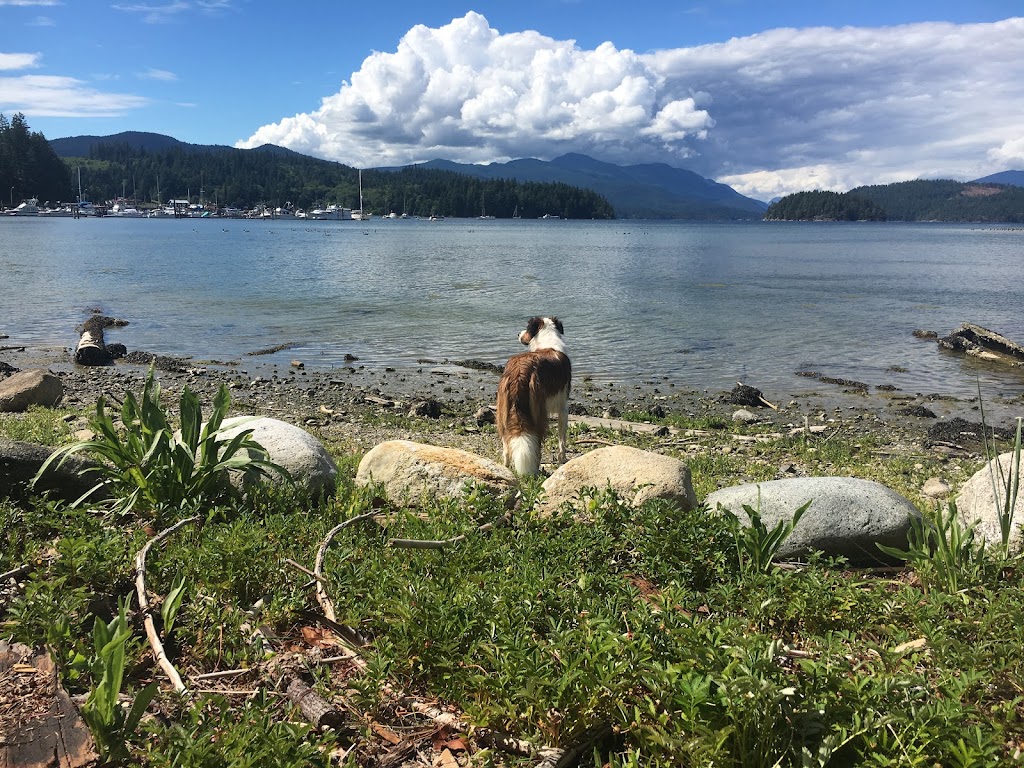 Harbour Air Seaplanes | 5764 Wharf Ave #1, Sechelt, BC V0N 3A0, Canada | Phone: (604) 274-1277