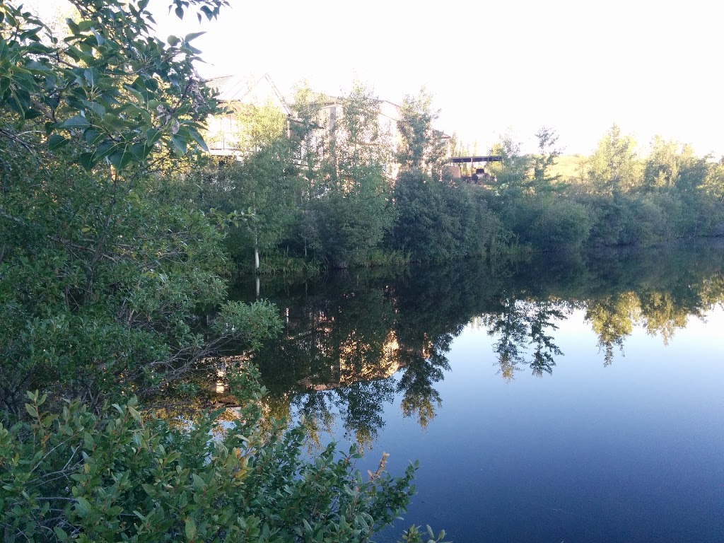 Sarina Pond | 166 R Royal Ridge Mt NW, Calgary, AB T3G 0A2, Canada