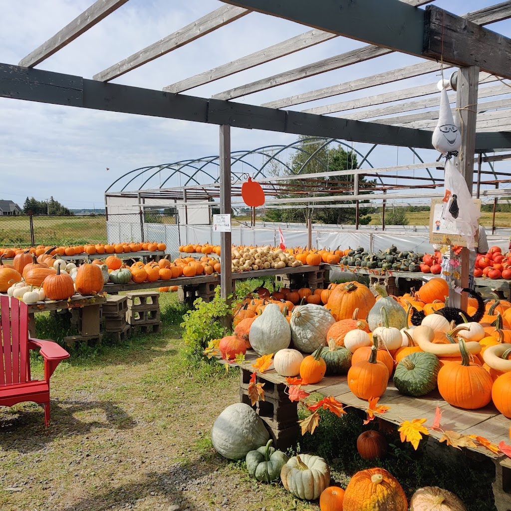 La Ferme Michaud Ltée. / Michaud Farm Ltd. | 739, NB-475, Baie de Bouctouche, NB E4S 4N9, Canada | Phone: (506) 743-6947