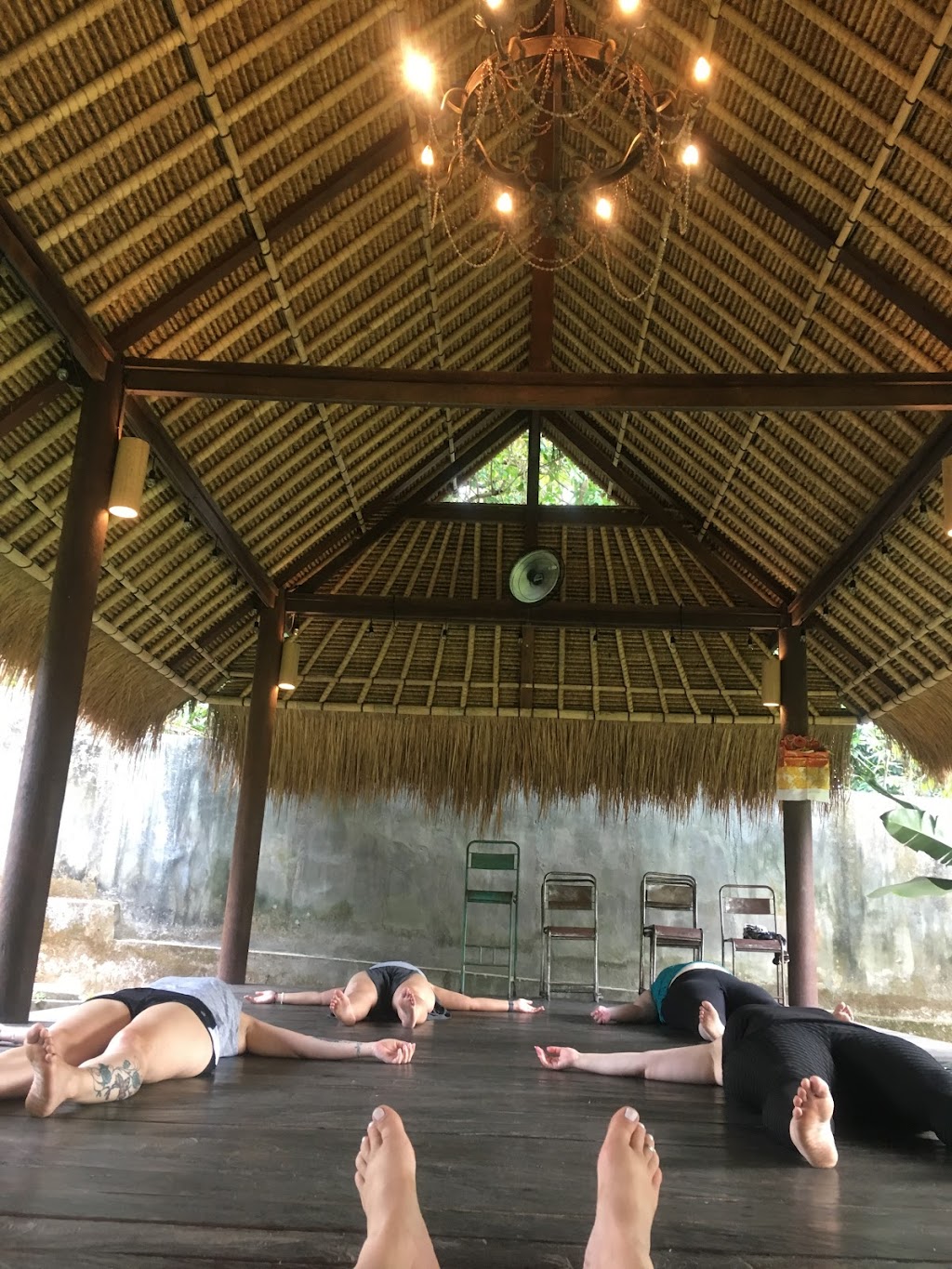 Earth Elements Yoga | 444 Baseline Rd, Coboconk, ON K0M 1K0, Canada | Phone: (416) 902-5768