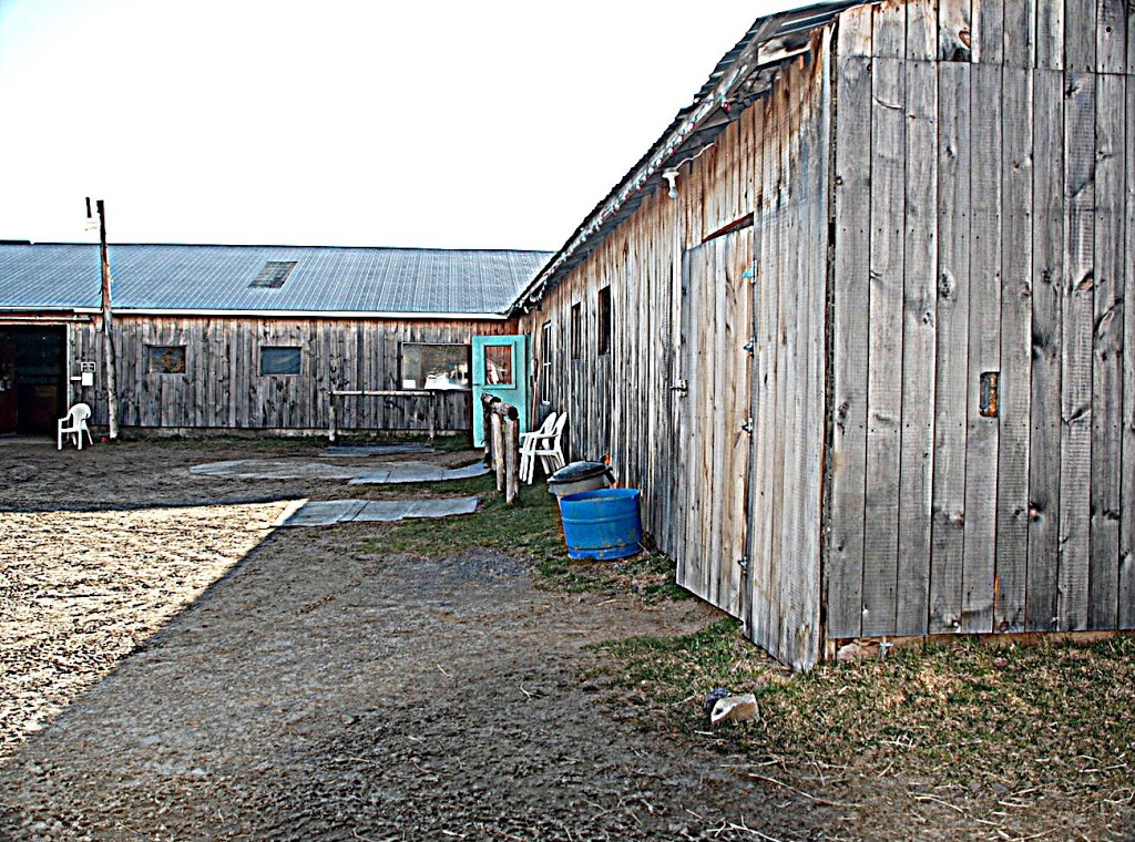 Two Minds - One Ride Horsemanship | 2058 Landry St, Clarence Creek, ON K0A 1N0, Canada | Phone: (819) 712-3565