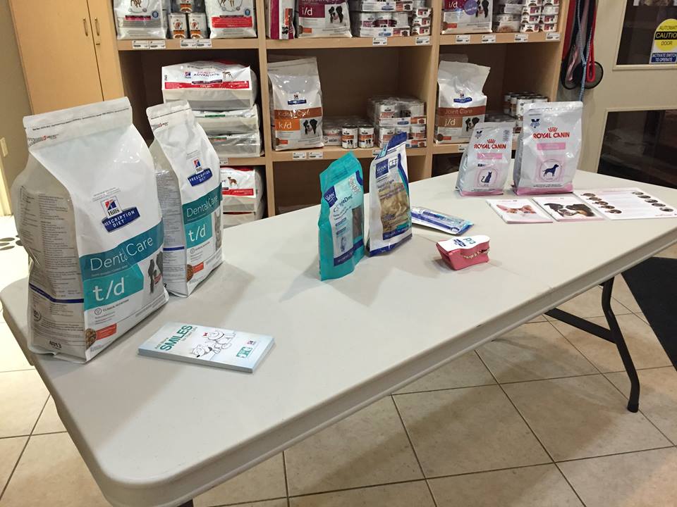 North Hill Animal Hospital | 12612 Hwy 50 #11, Bolton, ON L7E 1T6, Canada | Phone: (905) 857-5057
