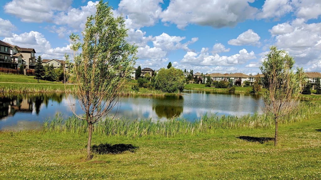 Terwillegar South Park | 1504 Towne Centre Blvd NW, Edmonton, AB T6R 0P4, Canada | Phone: (780) 442-5311