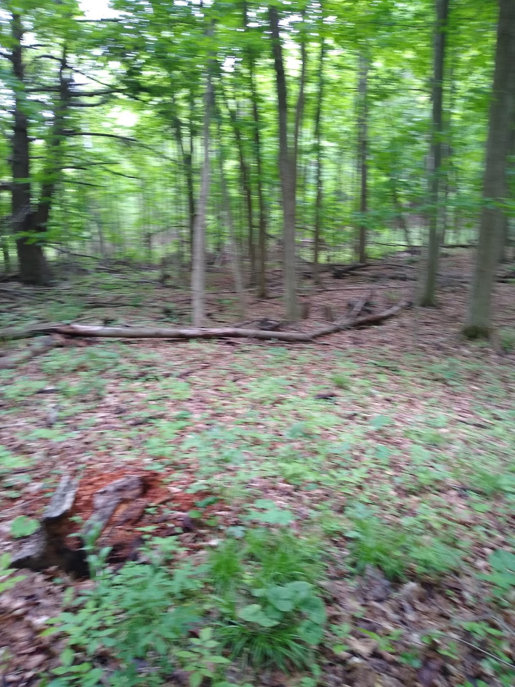 DNA Landscaping Inc | 7532 30 Sideroad Adjala, Alliston, ON L9R 1V1, Canada | Phone: (905) 724-0346
