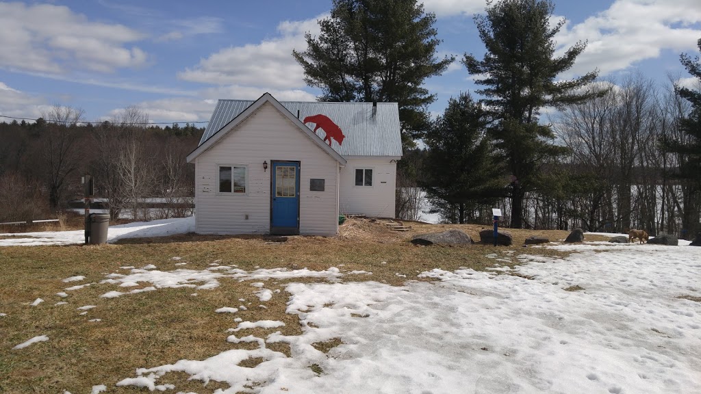 The Tree Museum | 1634 Doe Lake Rd, Gravenhurst, ON P1P 1R3, Canada